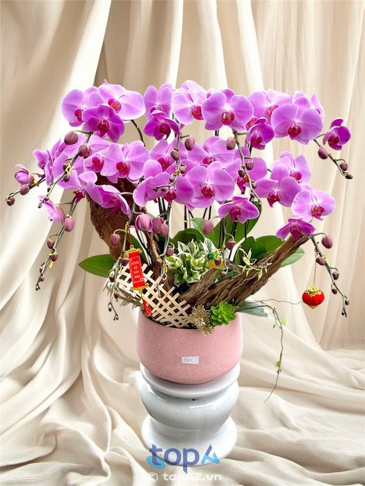 Peony Florist