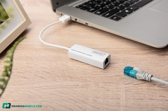 adapter-la-gi-01