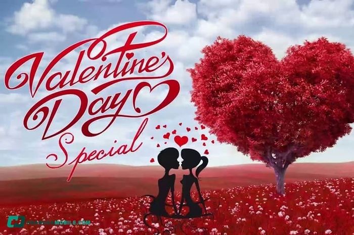 cac-ngay-valentine-02
