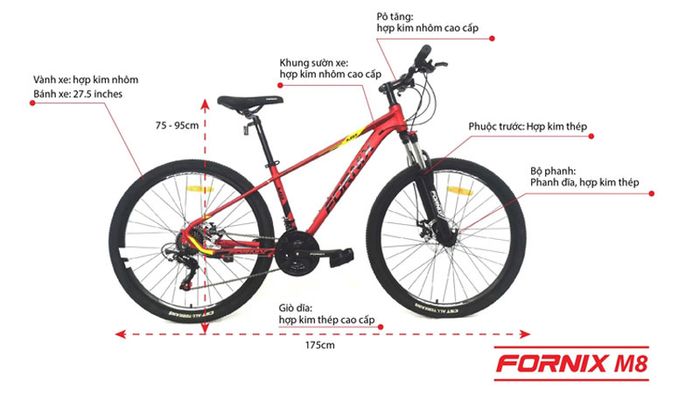 fornix-7
