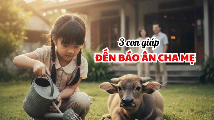 Con giáp này sinh ra để báo đáp công ơn của cha mẹ.