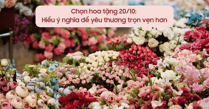 lựa chọn hoa tặng 20/10