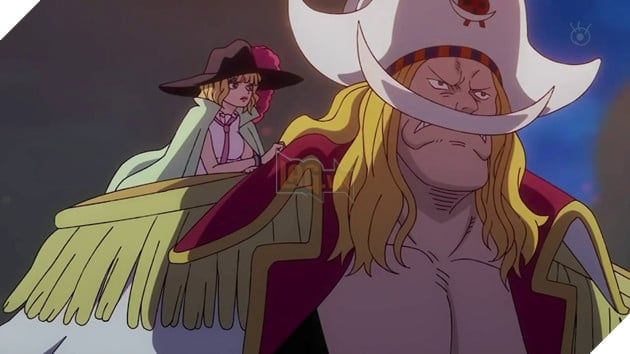 One Piece: 10 nhân vật sở hữu Haki mạnh mẽ hơn cả Luffy – Dù Luffy đang tiến gần đến vị trí “Vua Hải Tặc”, nhưng vẫn có những khoảng cách lớn về sức mạnh.