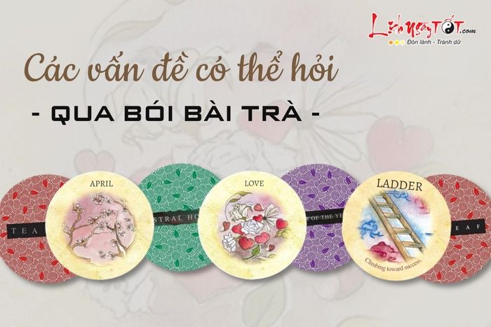 Những vấn đề có thể được giải đáp qua bói bài trà