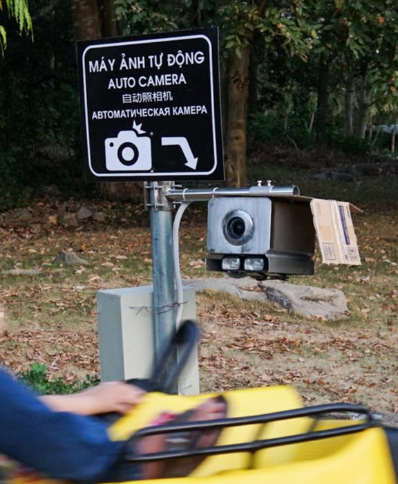 Trải nghiệm máng trượt núi Bà Đen dài gần 2km – hành trình mạo hiểm đầy thú vị.