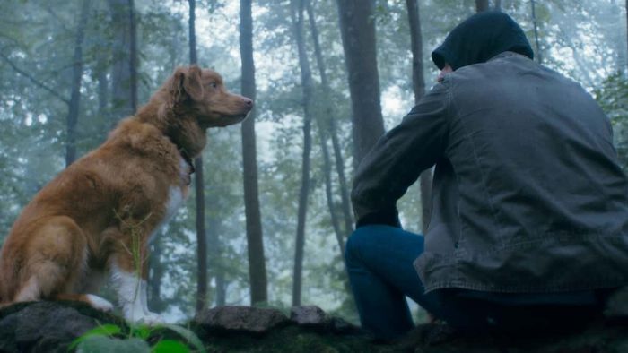 Nhưng đừng hòng hại đến Todd