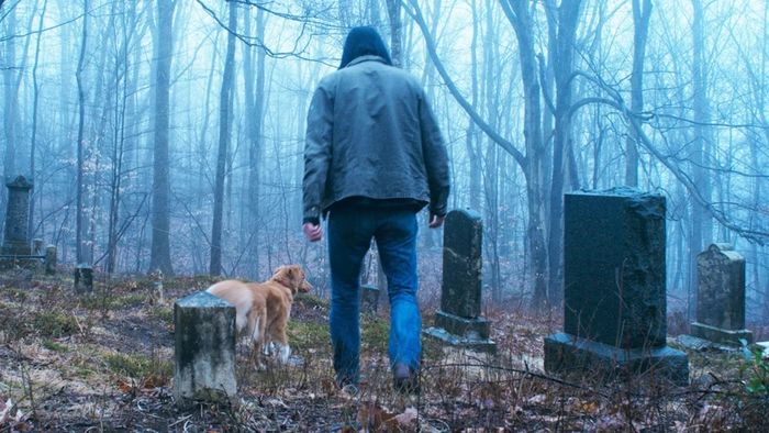 Todd cùng Indy rời phố về miền quê, mang theo hy vọng cho một khởi đầu mới tươi sáng