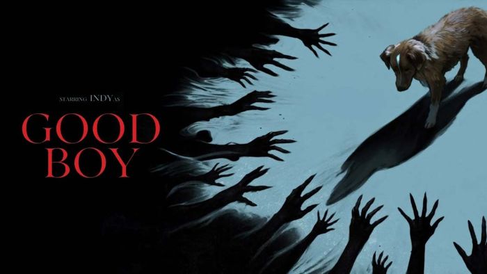 Good Boy: Chó Cưng Đừng Sợ mở màn với một ý tưởng kinh dị cực kỳ táo bạo