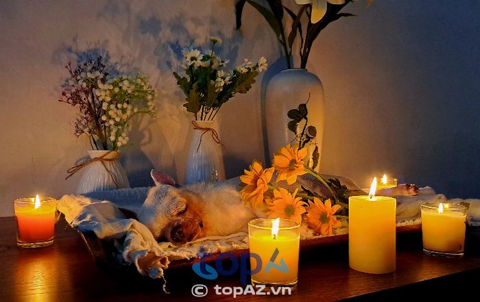 Lưu giữ kỷ vật lưu niệm
