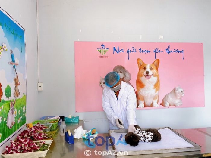 Hỏa Táng Thú Cưng (Trung Tâm Hỏa Táng Bình Hưng Hoà)