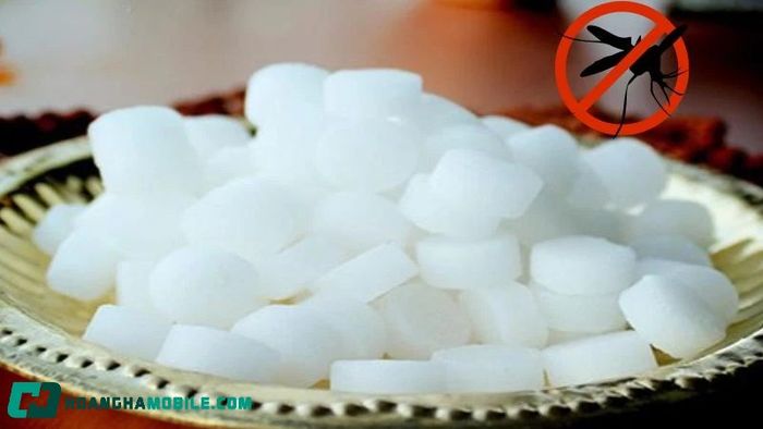 cach-diet-muoi-9