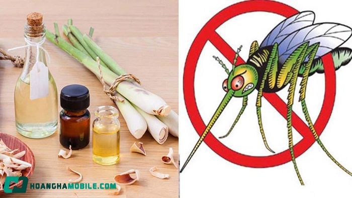 cach-diet-muoi-8