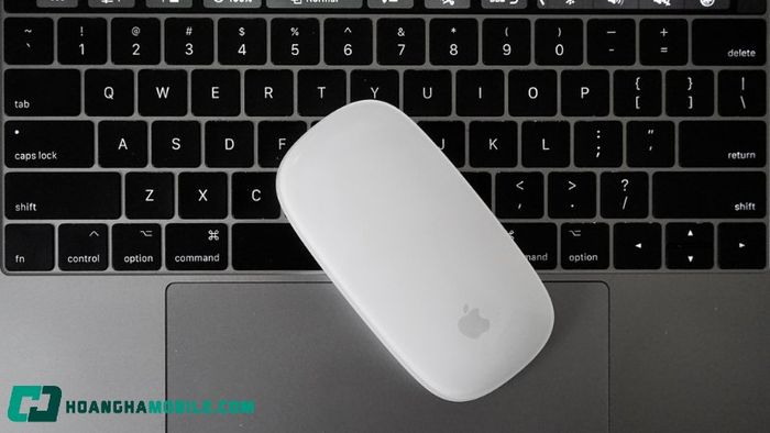 chuot-laptop-10