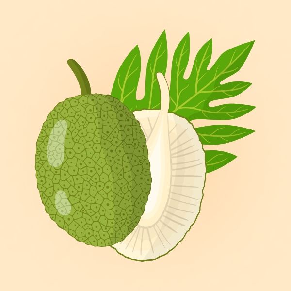 Quả bắp cải