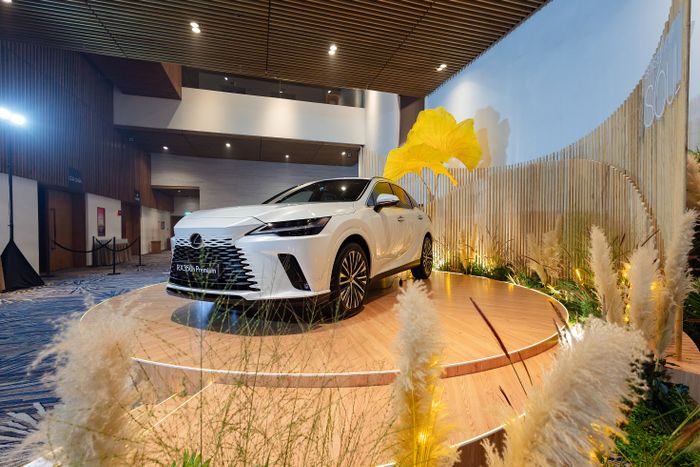 Lexus (1).jpg