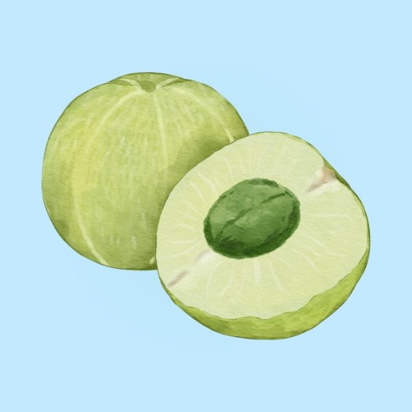 Quả lý gai