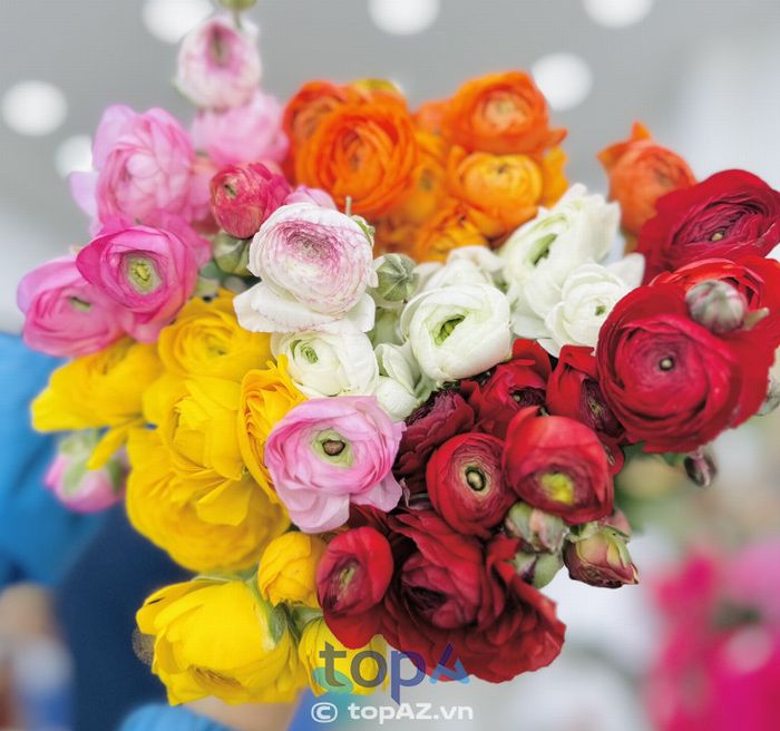 Chất lượng hoa tươi và mẫu mã phong phú