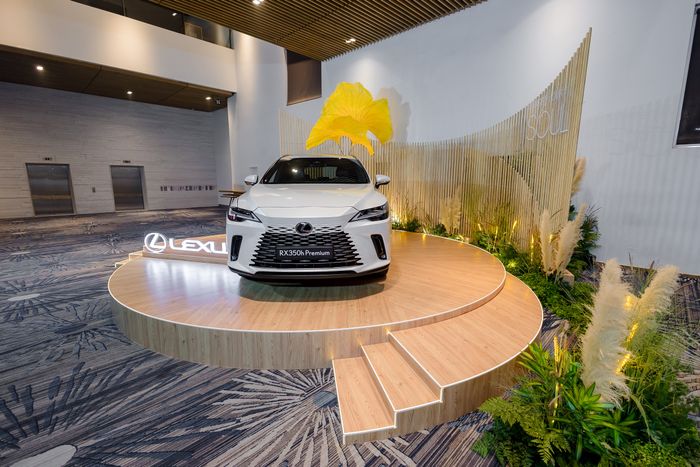 Lexus (2).jpg