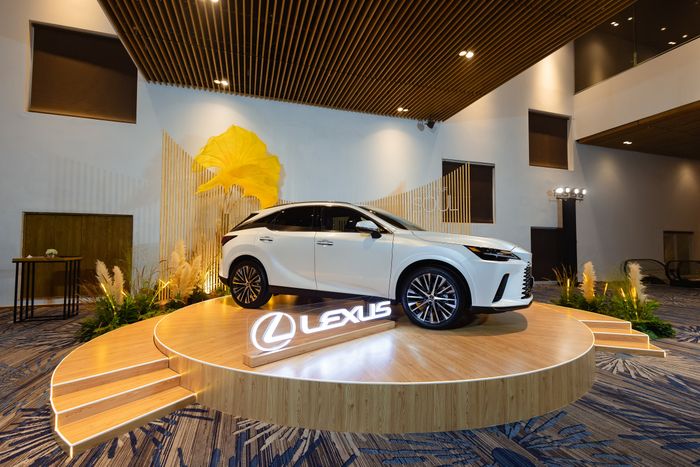 Lexus (4).jpg