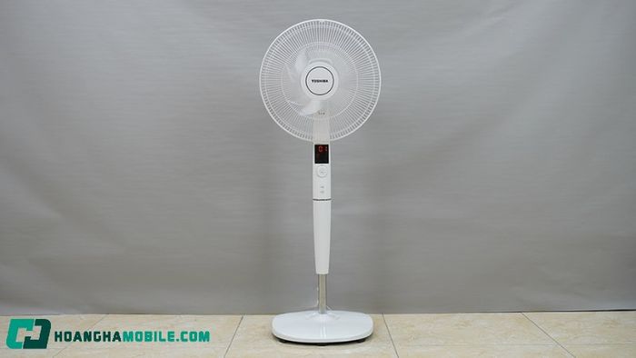 quat-cay-toshiba-5