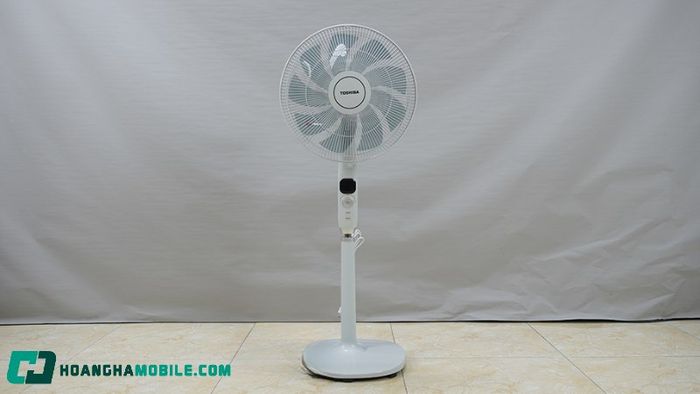 quat-cay-toshiba-6