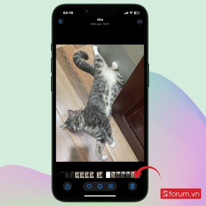 Chọn biểu tượng thùng rác để xóa ảnh riêng lẻ mà bạn không cần nữa.