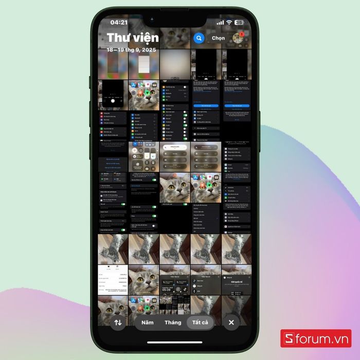 Thư viện ảnh trên iPhone của bạn sẽ hiển thị.