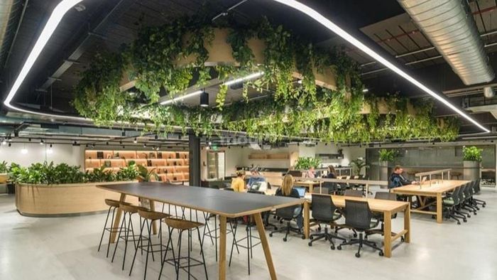 Xu hướng văn phòng “wellness office” – các không gian làm việc thân thiện với môi trường đang ngày càng trở nên phổ biến.