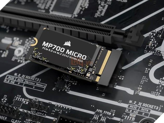 Corsair ra mắt ổ SSD PCIe 5.0 MP700 PRO XT và MP700 MICRO với tốc độ đọc ấn tượng