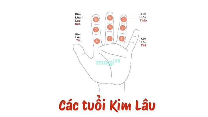 Tuổi Tân Dậu 1981 phạm hạn Kim Lâu Thân trong năm 2026