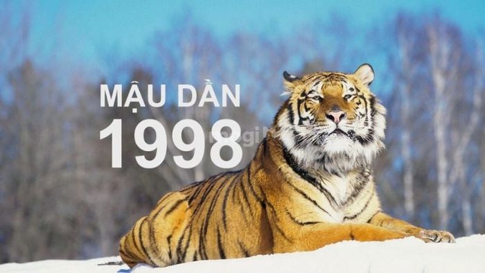 Tổng quan về người sinh năm 1998