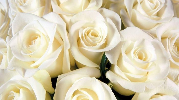 white-day-8