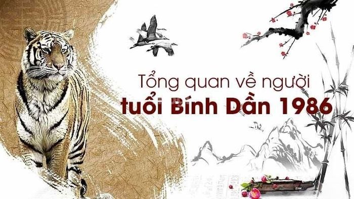 Thông tin về người tuổi Bính Dần 1986