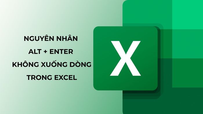 Nguyên nhân khiến tổ hợp Alt + Enter không xuống dòng trong Excel