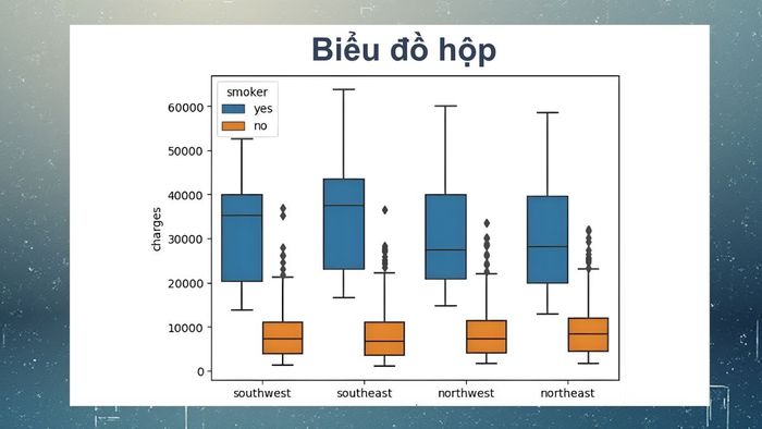 4 loại biểu đồ cơ bản bạn cần nắm vững 4