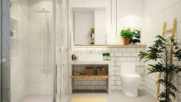 Tránh đặt nhà vệ sinh ở Đông Bắc và Tây Nam
