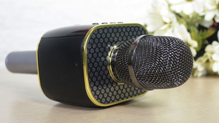 mic-hat-karaoke-1