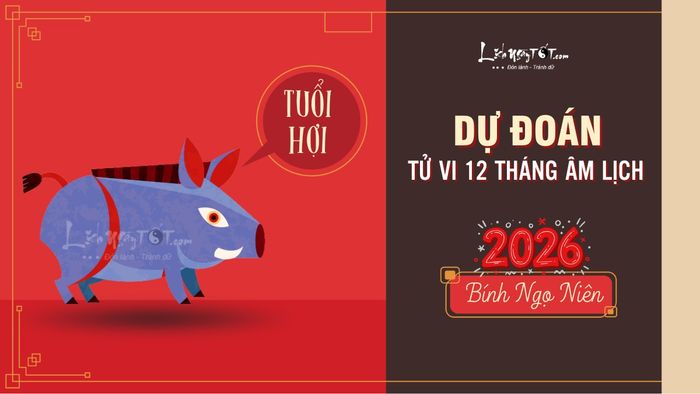 Dự đoán tử vi 12 tháng năm 2026 cho tuổi Hợi