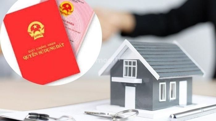 Tập trung vào các yếu tố thực tế