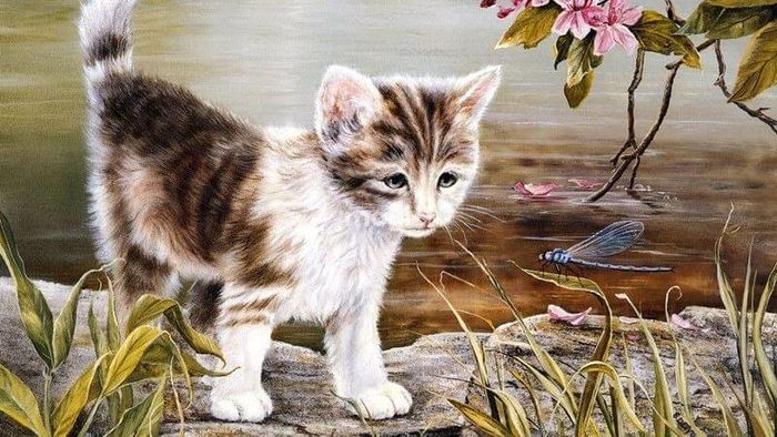Tuổi 1987 có phạm phải hạn Tam Tai hay không?