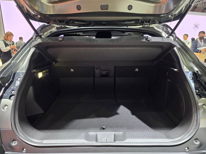 Suzuki eVITARA 10.jpg
