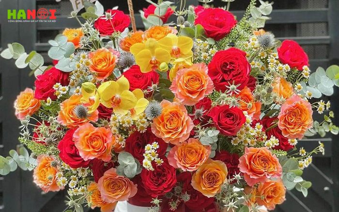 Nht-flower-Mytour