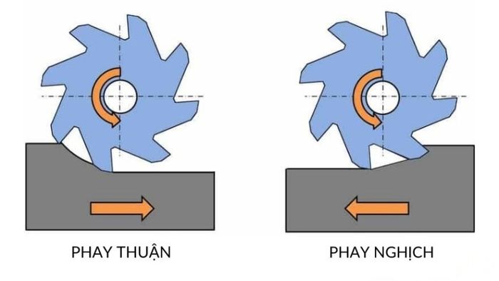 phay-5