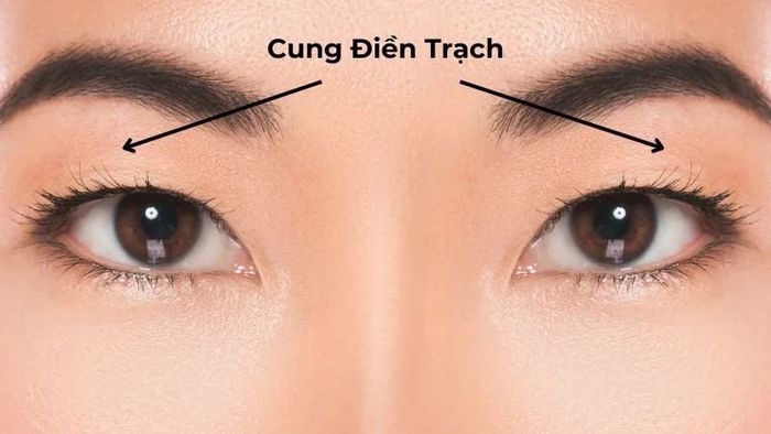 Xem Cung Điền Trạch trước khi quyết định mua nhà là một việc vô cùng quan trọng.