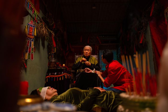 Phim sử dụng những tông màu chói mắt, nổi bật