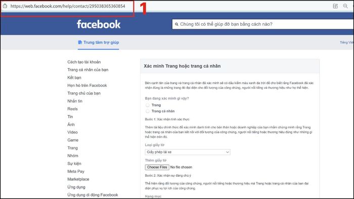 biểu mẫu verify