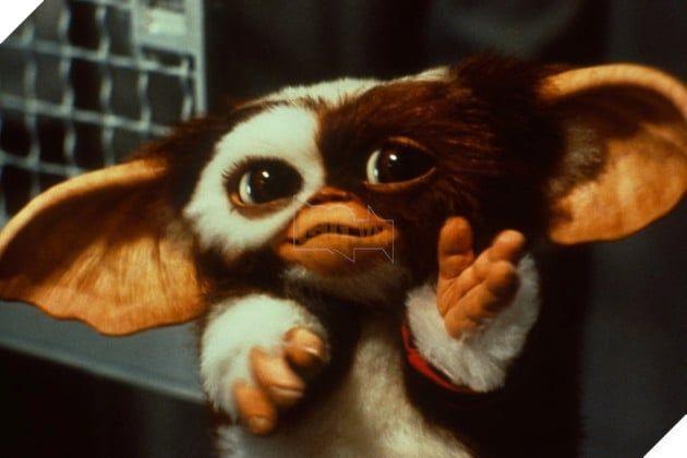 Hình Ảnh Liên Quan Đến Gremlins