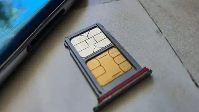 038-la-dau-so-mang-nao-12