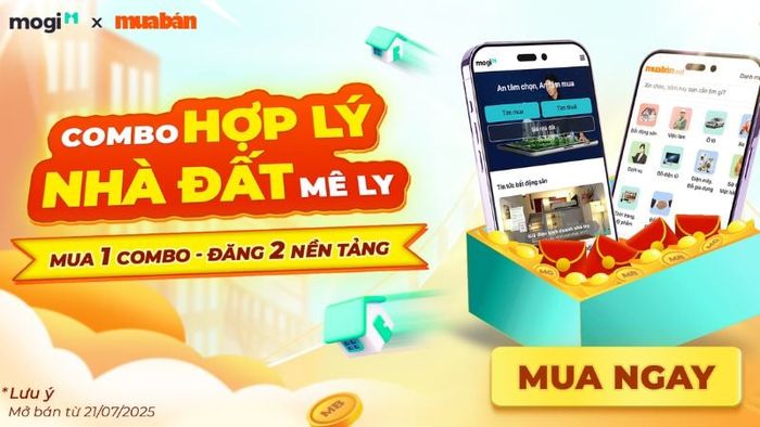 Chủ trọ nên chọn gói đăng bài phù hợp trên các trang web uy tín (Nguồn Muaban.net)