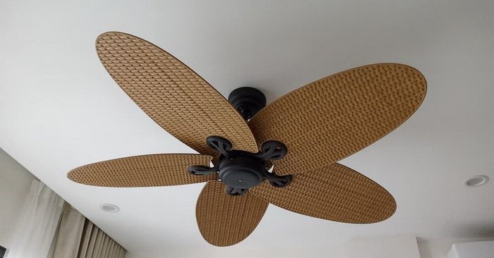 cach-lap-dat-quat-tran